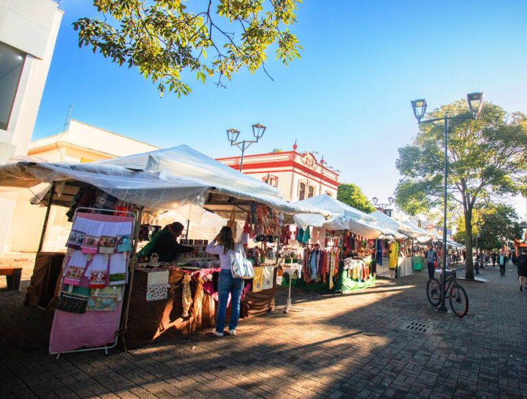 Feira de Artesanato da Primavera começa nesta terça-feira (30) na Rua XV de Novembro