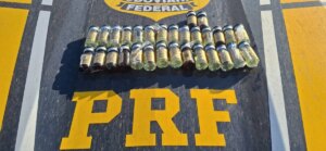 Apreensão de anabolizantes e remédios para emagrecimento dispara no Paraná