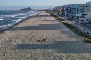 Ponte de Guaratuba e novo aeroporto: veja 10 megaobras no Litoral do Paraná