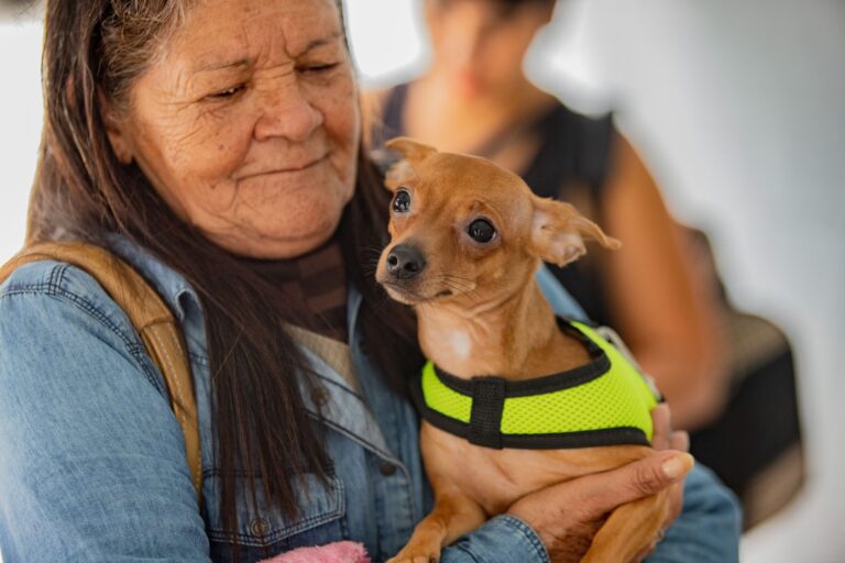 Mutirões de Castração atenderão as regionais Guatupê e Parque da Fonte nos dias 28 a 31 de outubro