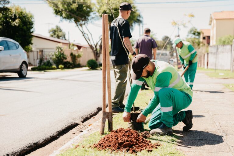 Plano de Arborização de São José dos Pinhais já soma milhares de mudas plantadas e doadas à população
