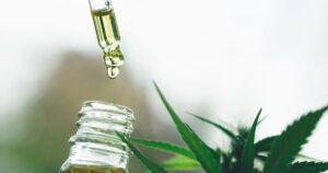 Governo Federal pede mais prazo para regulamentação da cannabis medicinal