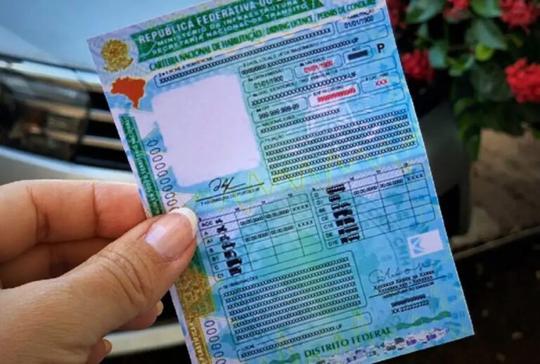 Paraná vai oferecer CNH gratuita a pessoas em vulnerabilidade