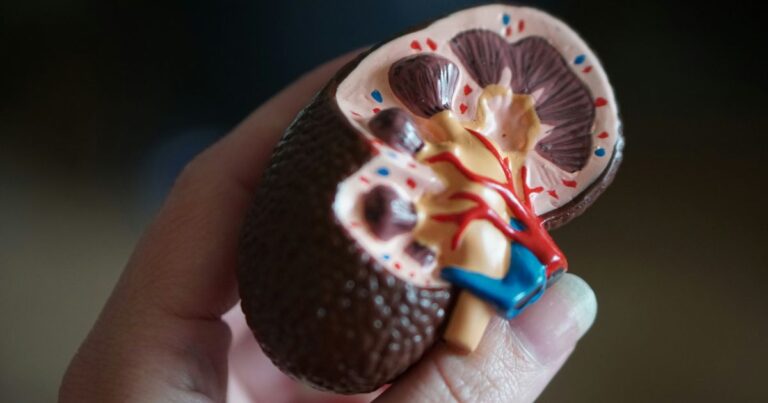 Mais de 170 mil brasileiros vivem em diálise por doença renal crônica