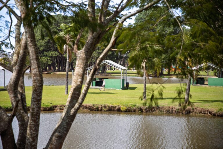 São José dos Pinhais institui Semana Municipal de Conscientização Ambiental