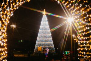 Natal Encanto e Luz 2025 transforma o Parque São José em um espetáculo noturno de magia e brilho