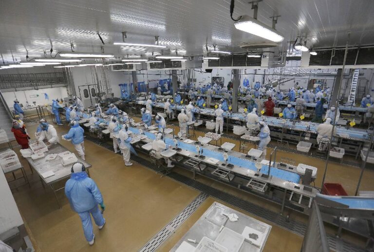 Oportunidade! Paraná tem mais de 26 mil vagas de emprego disponíveis
