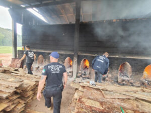 PCPR incinera uma tonelada de drogas em São José dos Pinhais
