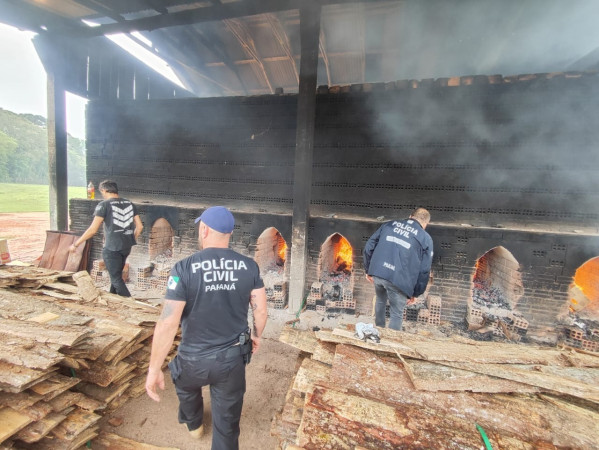 PCPR incinera uma tonelada de drogas em São José dos Pinhais