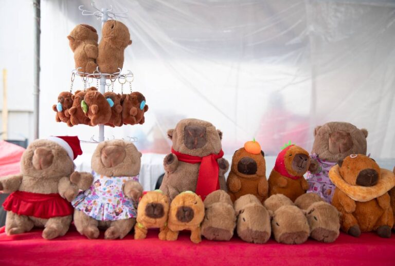 Feira Especial de Natal movimenta o centro de São José dos Pinhais