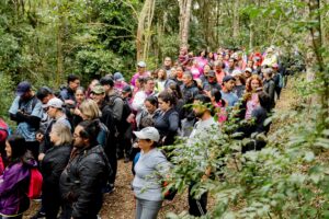 Mais de 20 mil pessoas participaram das Caminhadas na Natureza de São José dos Pinhais em 2025