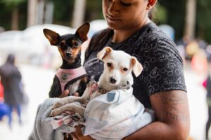 1º mutirão de castração de cães e gatos de 2026 será realizado nos dias 11 e 12 de fevereiro no bairro Borda do Campo