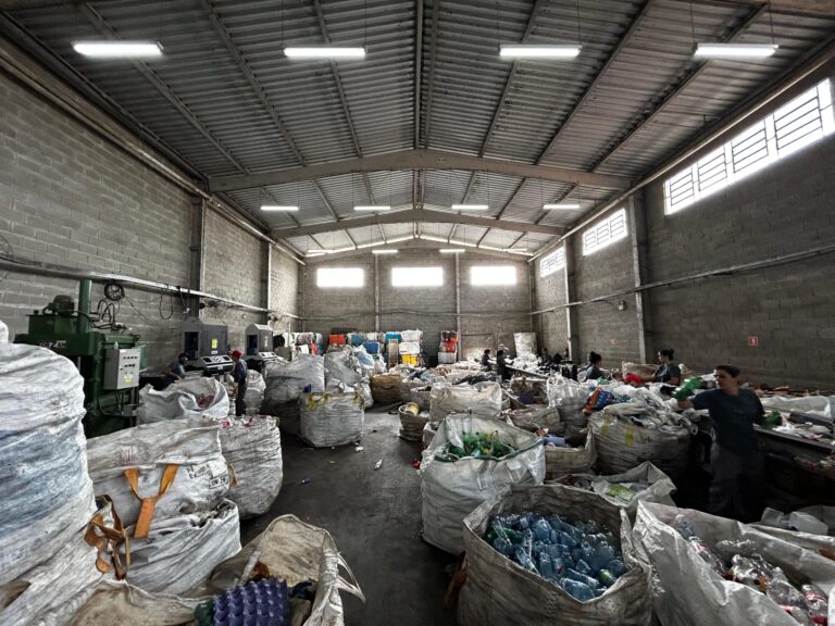 Confira as ações ambientais desenvolvidas em São José dos Pinhais em 2025