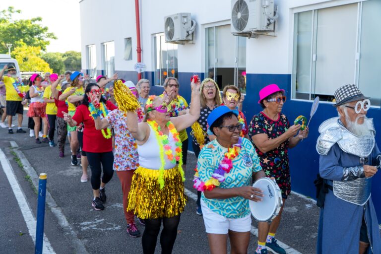 Aulão com temática de Carnaval reúne 70 idosos no Centro de Esporte e Lazer Ney Braga