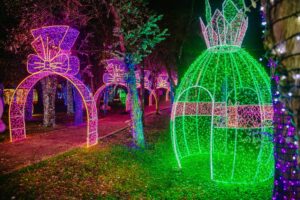 Confira a programação do Bosque do Coelho de São José dos Pinhais para os próximos dias