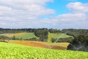 São José dos Pinhais abre inscrições para distribuição de fertilizantes pelo Programa Terra Fértil