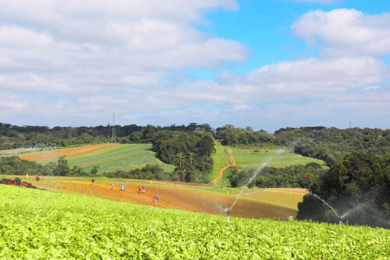 São José dos Pinhais abre inscrições para distribuição de fertilizantes pelo Programa Terra Fértil